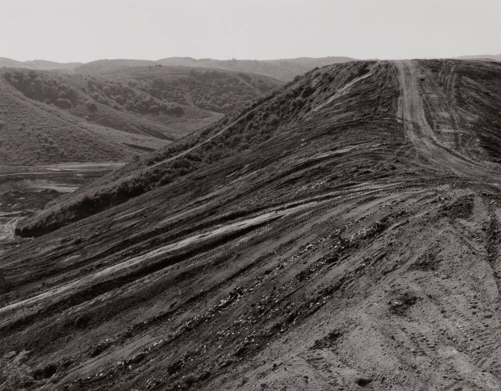 Mountain Cropping, Phillips Ranch, Calfornia