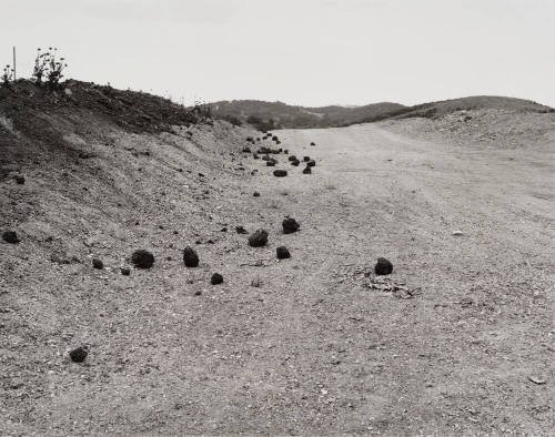 Road Cut (Homage to Roger Fenton), Diamond Bar, California
