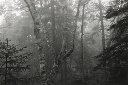 Mount Desert, Maine