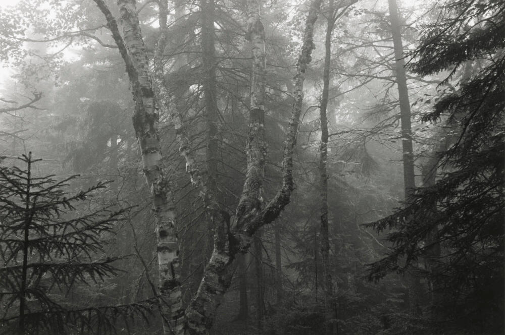 Mount Desert, Maine