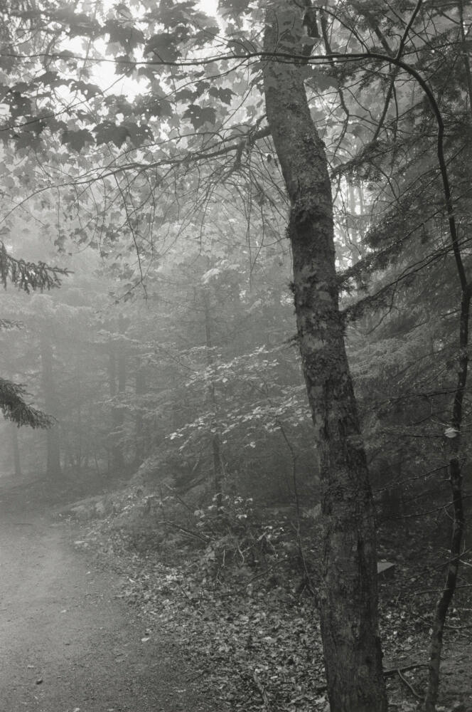 Mount Desert, Maine
