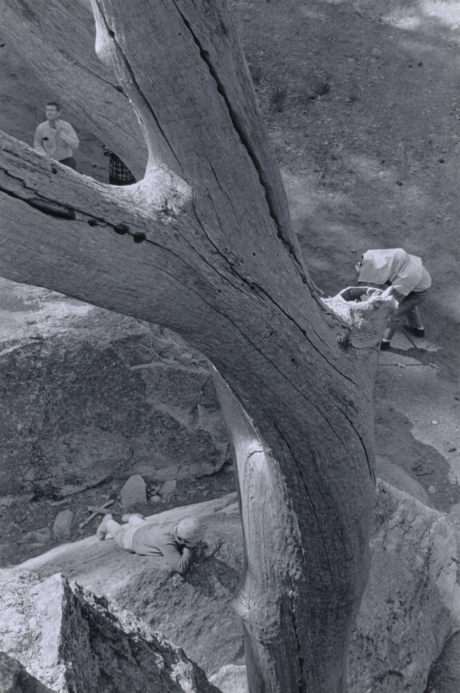 "Environmental Portraiture" Adams Students, Church Bowl, Yosemite