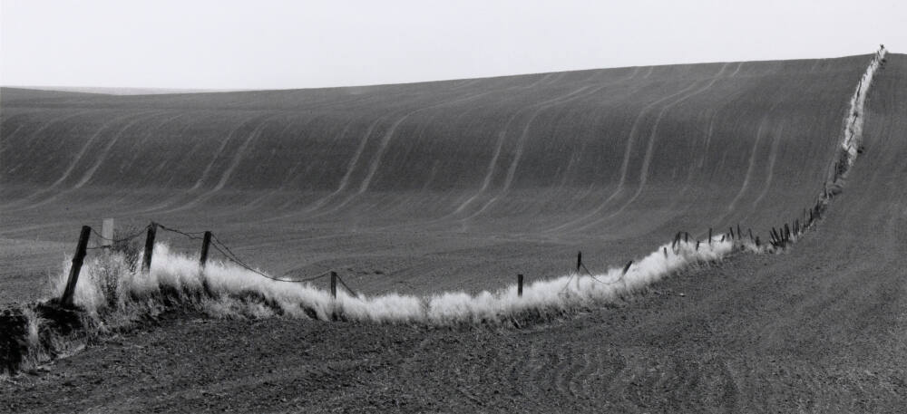 Plowed Wheat Field with Wire Fence, Whitman County, Washington