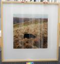 recto overall with frame
