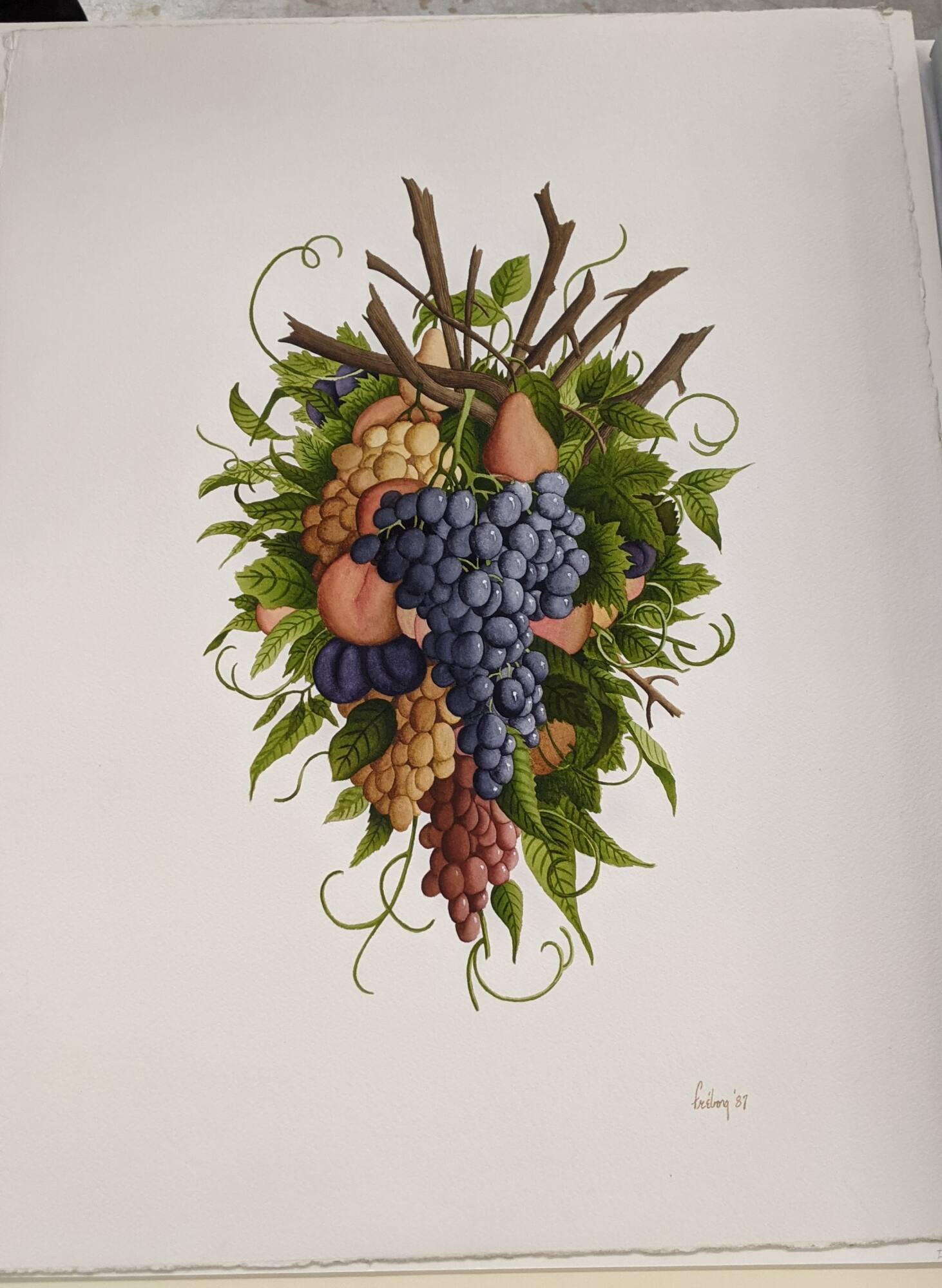 Still Life of Fruit