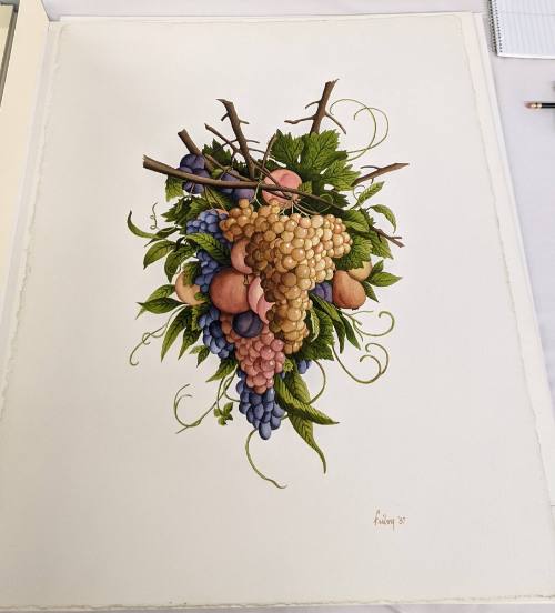 Still Life of Fruit