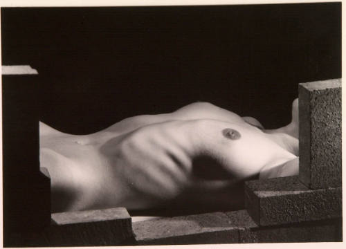 Nude Torso