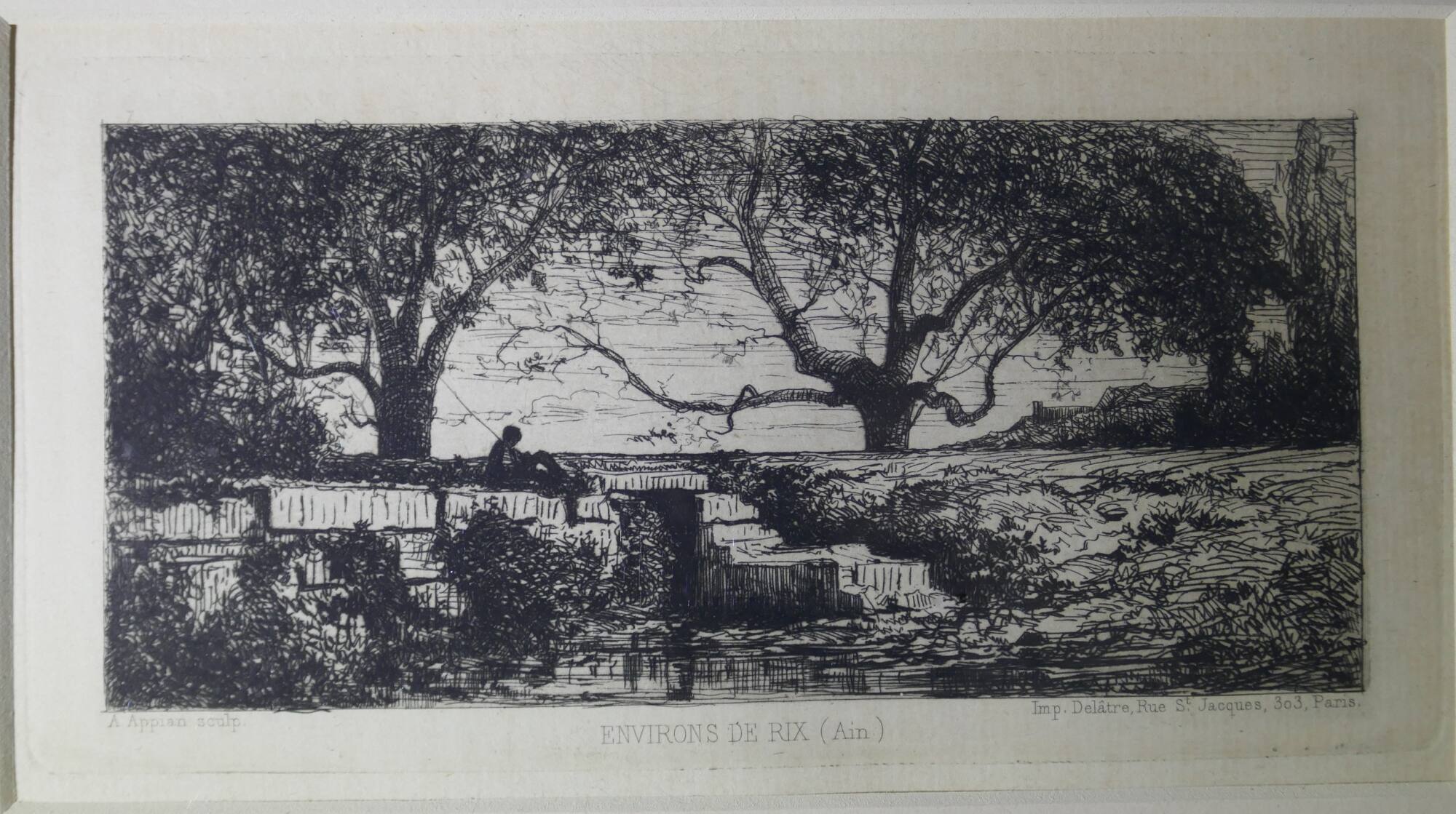 Environs de Rix (Ain)