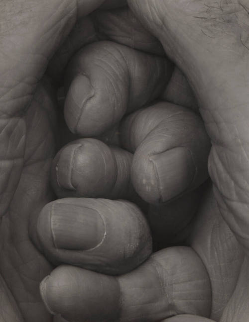 Self-portrait, Interlocking Fingers No. 19