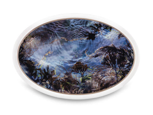 Tide Pool 39