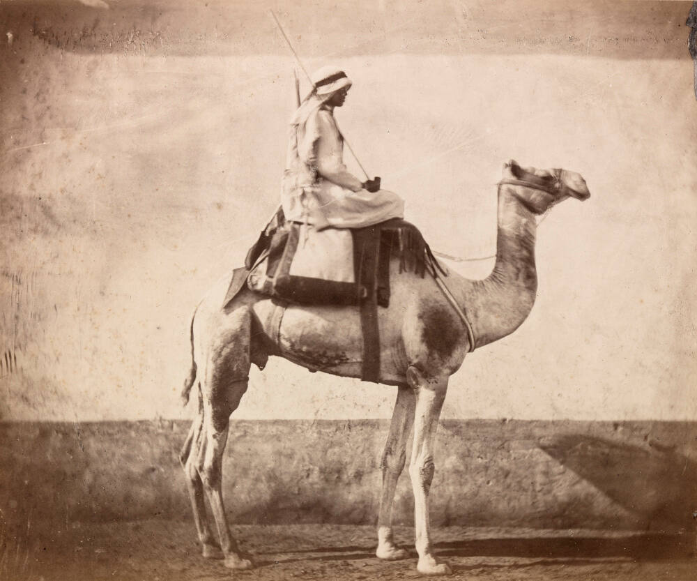 Camel rider of an Egyptian artillery company at the Citadel of Cairo before departing on an expedition to Sudan