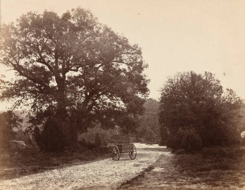 Cart in the road