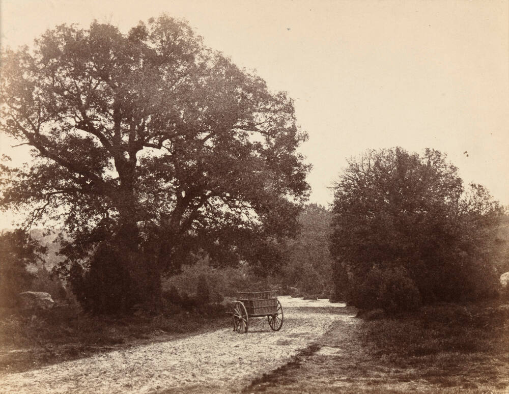 Cart in the road