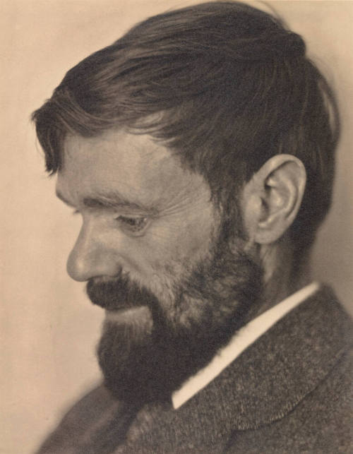 Portrait of D. H. Lawrence