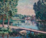 image overall