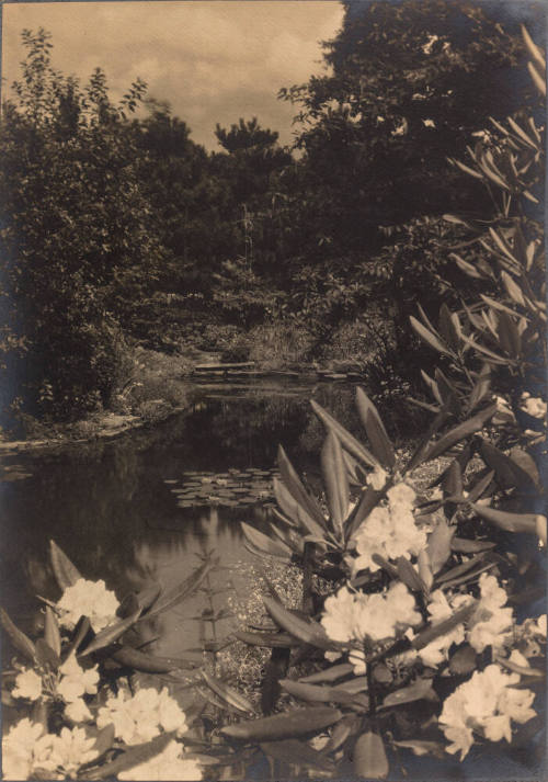 recto image overall