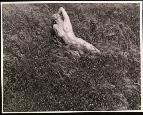 Sharon Barr in Field, #3