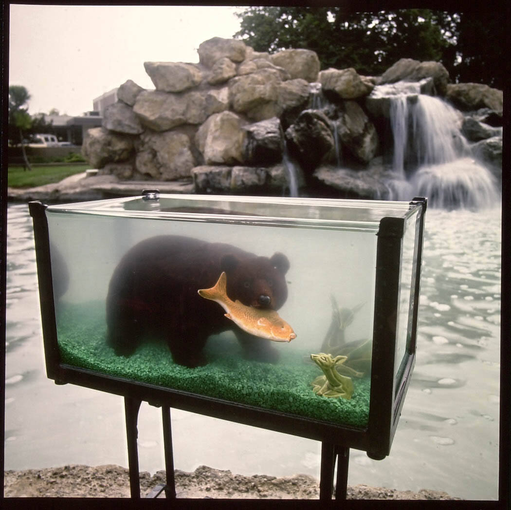 Know the Casual Abandon of the Bear, and His Pose - He Swats Up the Fish Like His Own Little Toys
