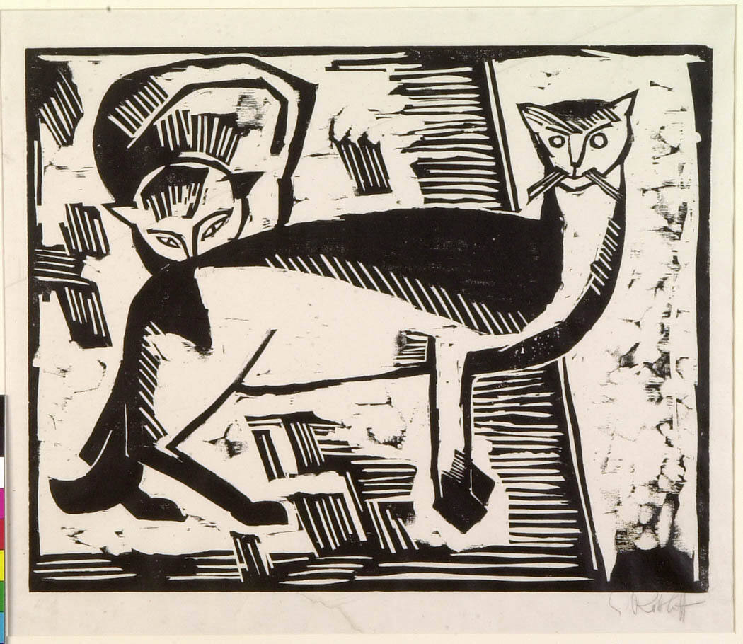 Cats