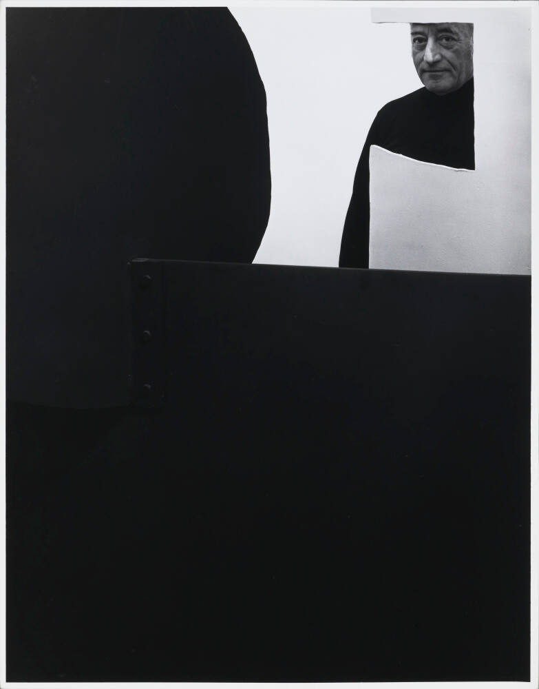 image recto overall
