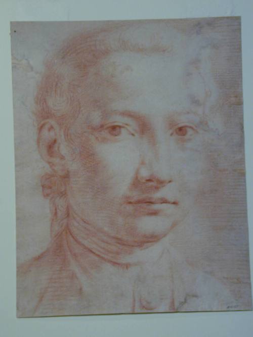 Head of a Man