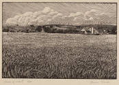 image recto overall