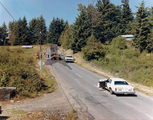 image overall