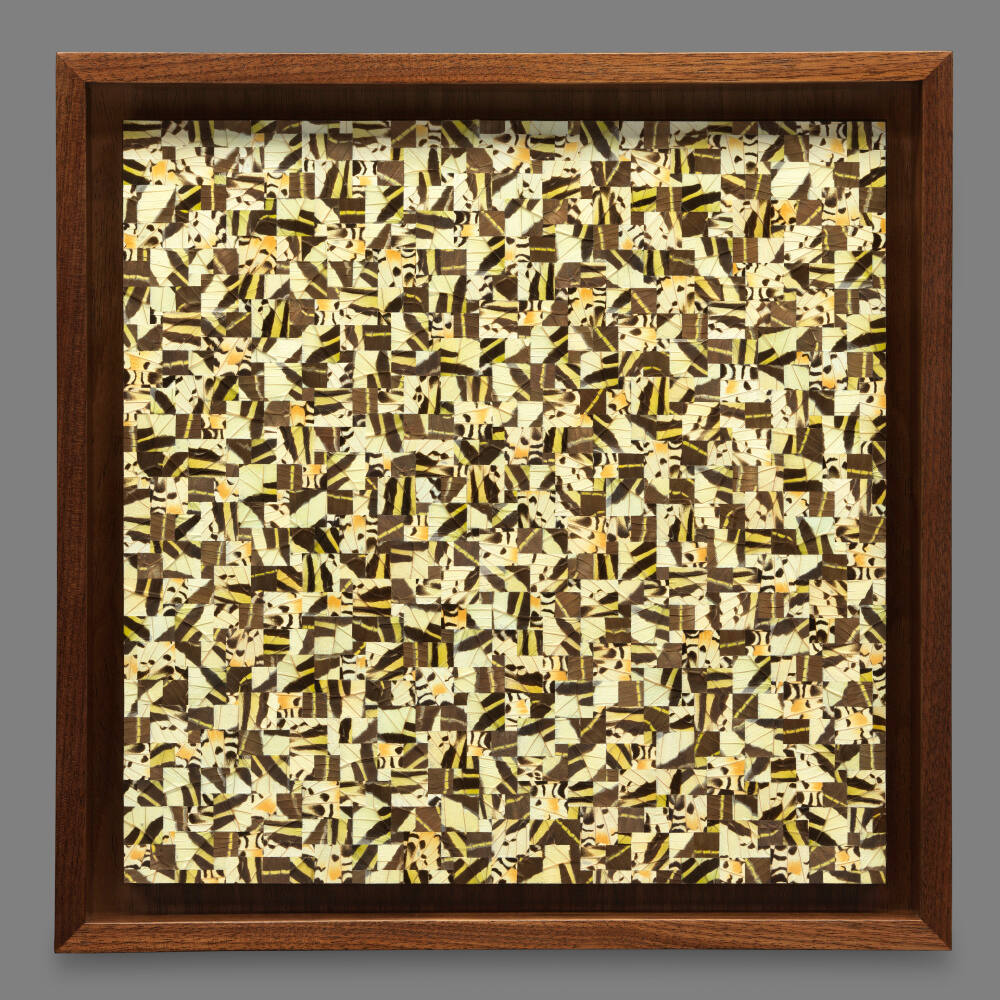 recto overall with frame