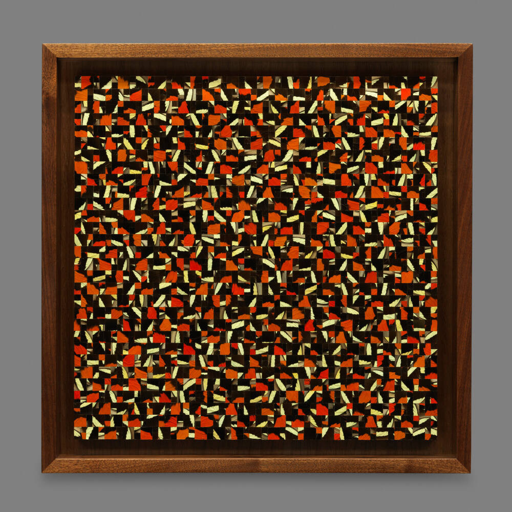 recto overall with frame
