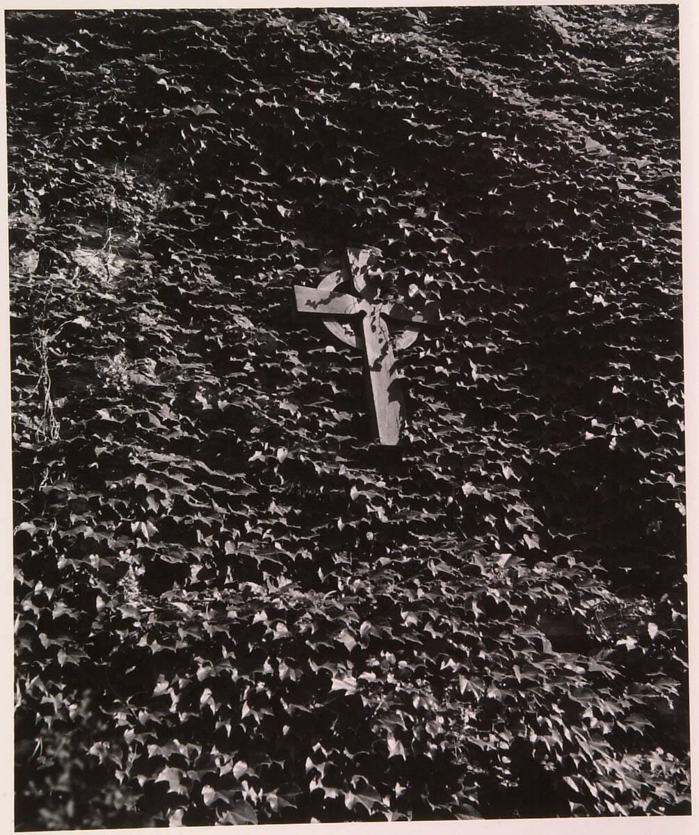 Cross and Ivy