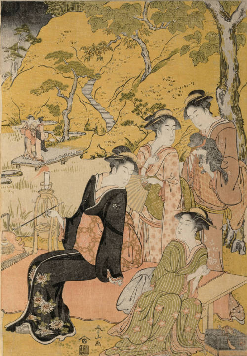 image overall