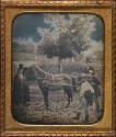 image overall