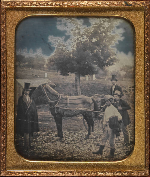 image overall