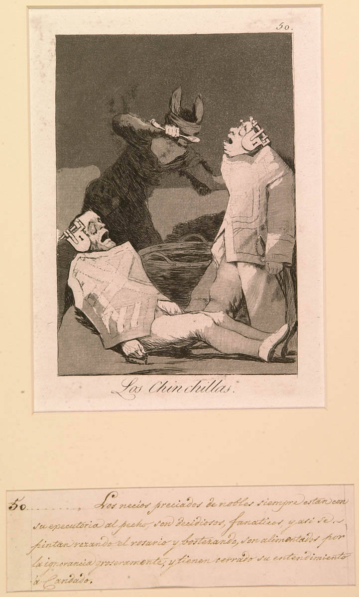 The Chinchillas (No. 50)