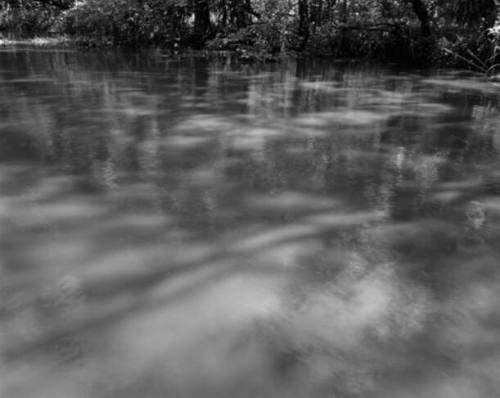 Light and the Swamp