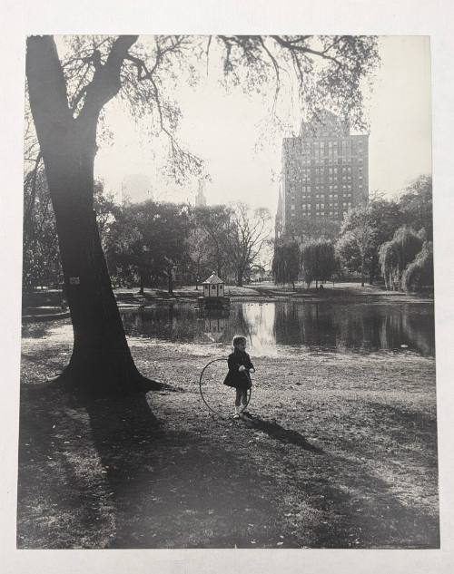 Alexandra Bacon, Boston Gardens