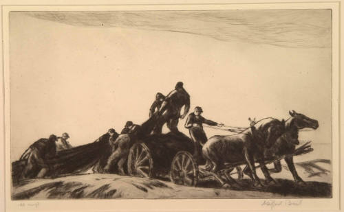 Hauling Nets