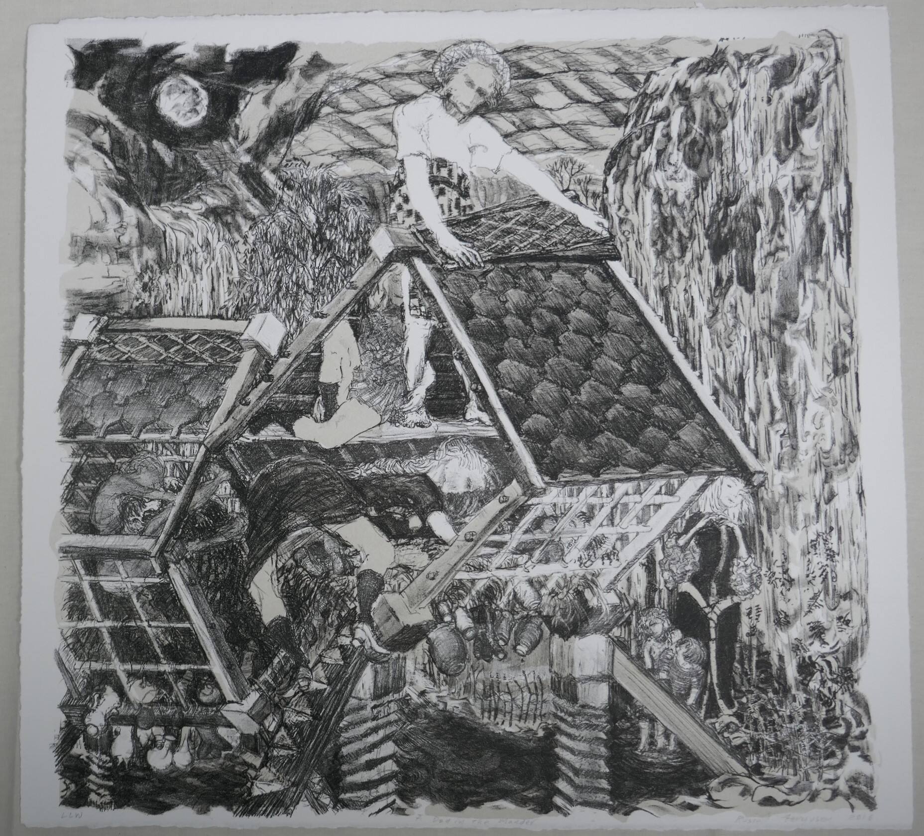 A Dog in A Manger