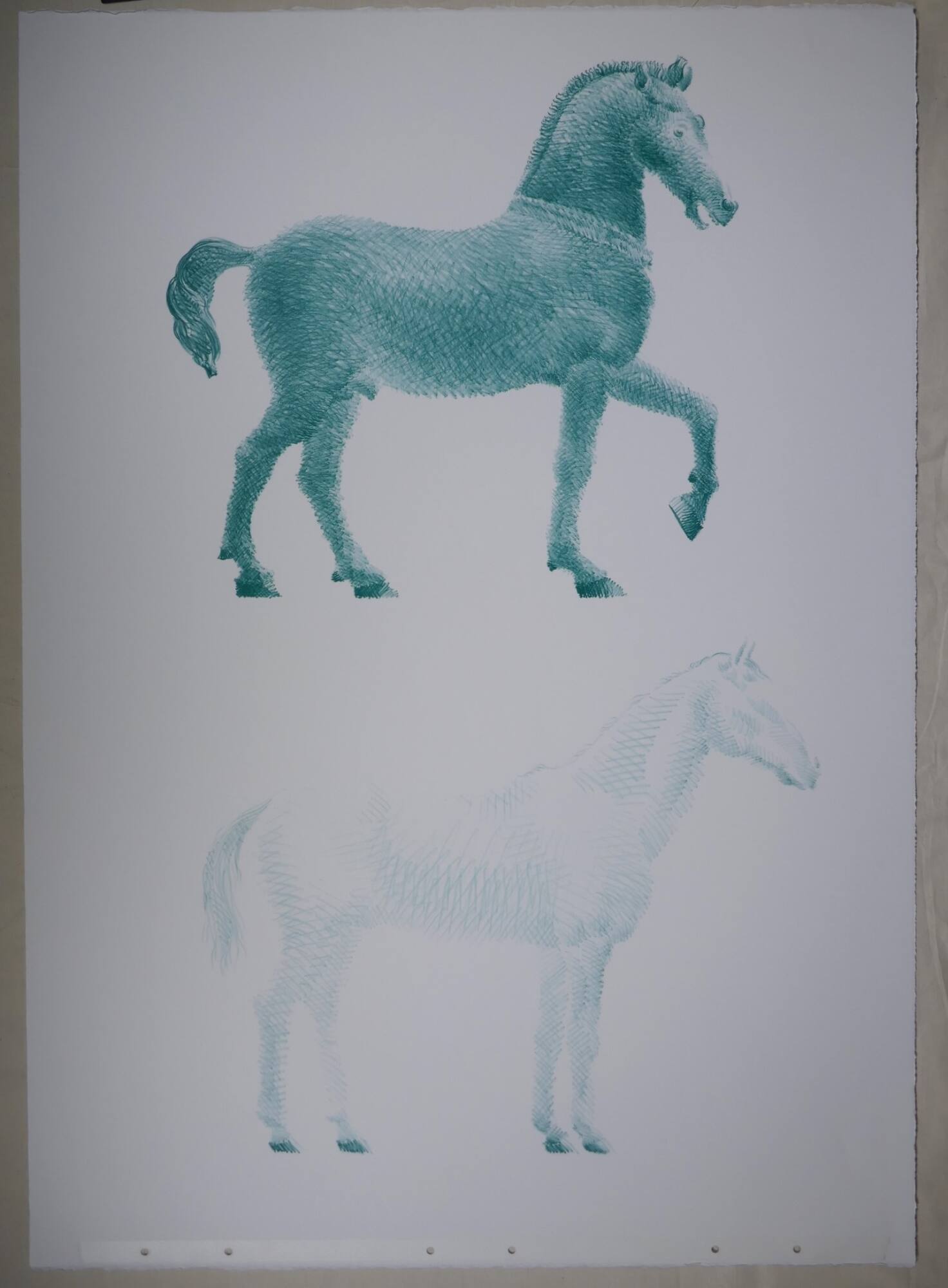 Study of a Classical Horse and a Modern Horse