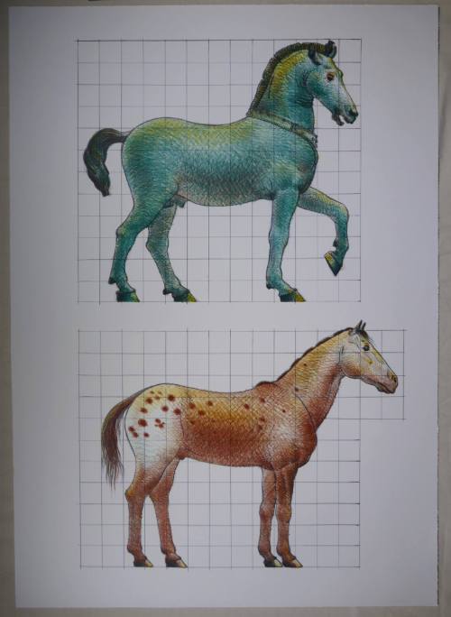 Study of a Classical Horse and a Modern Horse