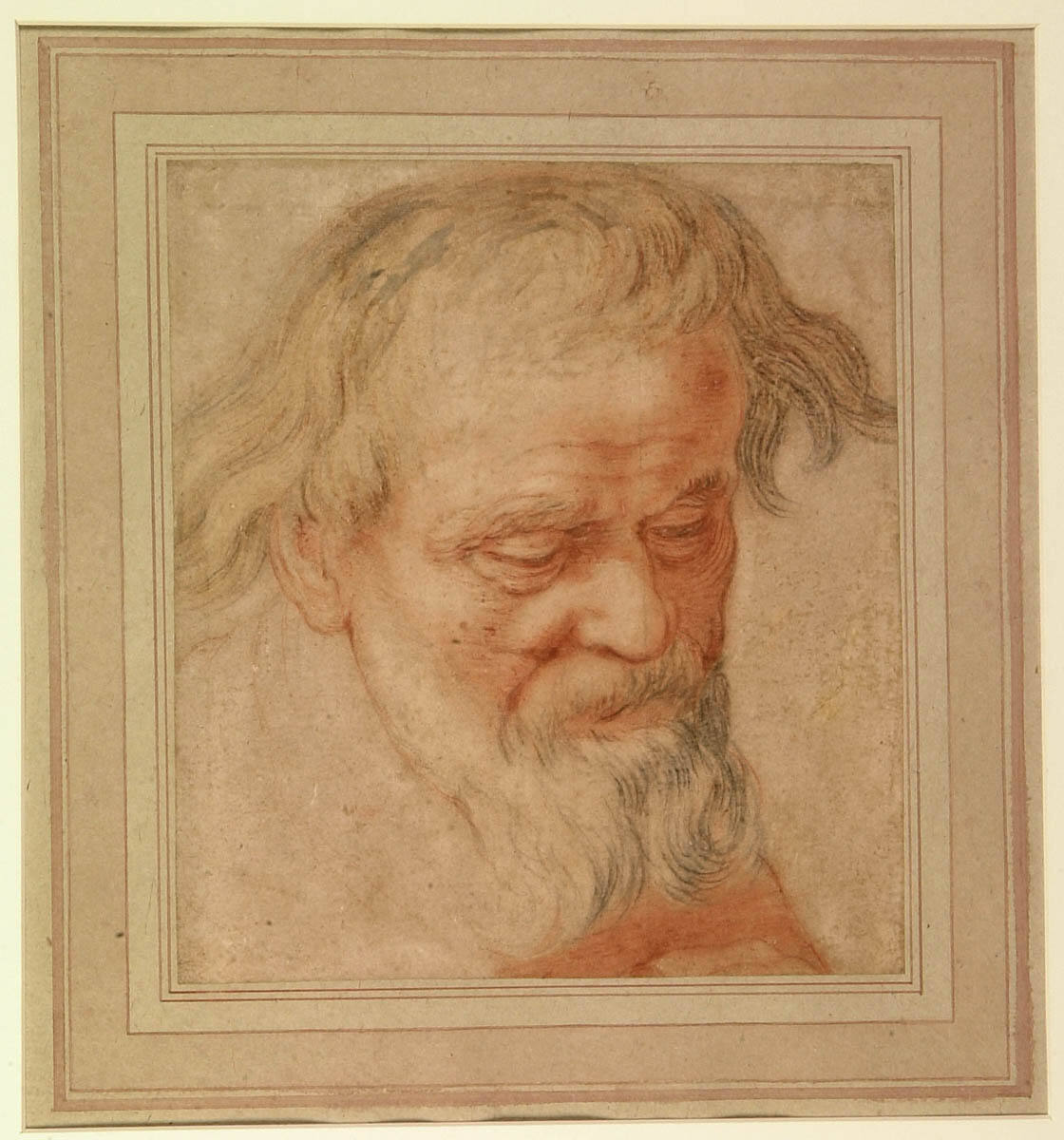 Head of a Bearded Man Looking Down