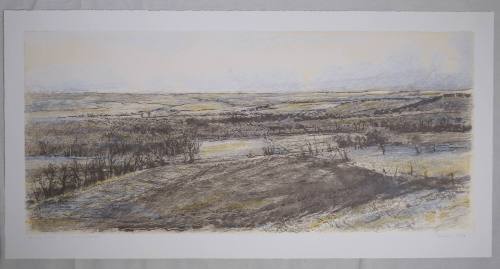 Long View