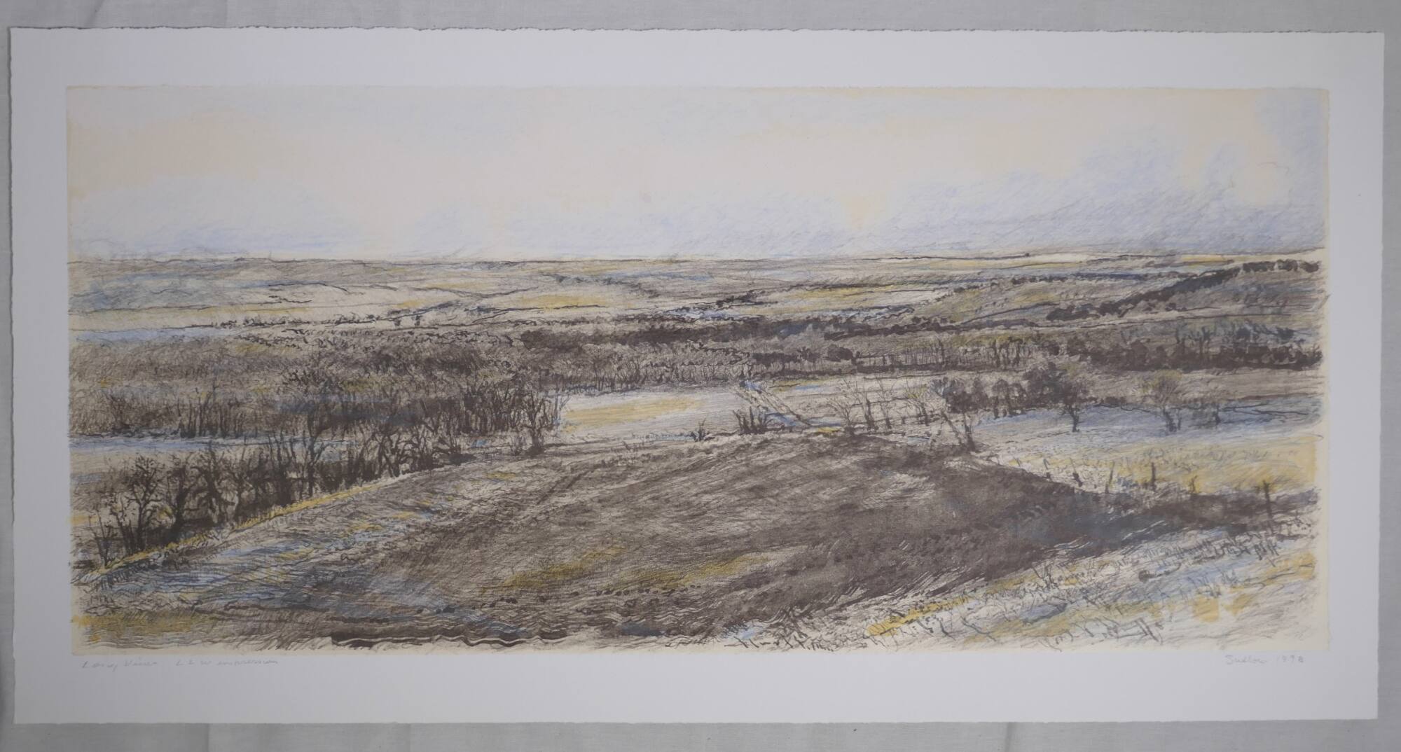 Long View