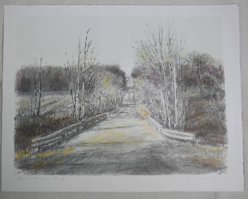 Sycamore Stream