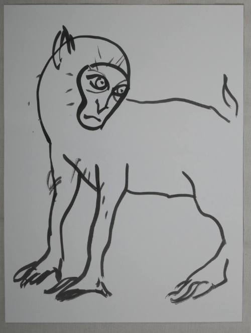 Monkey Series