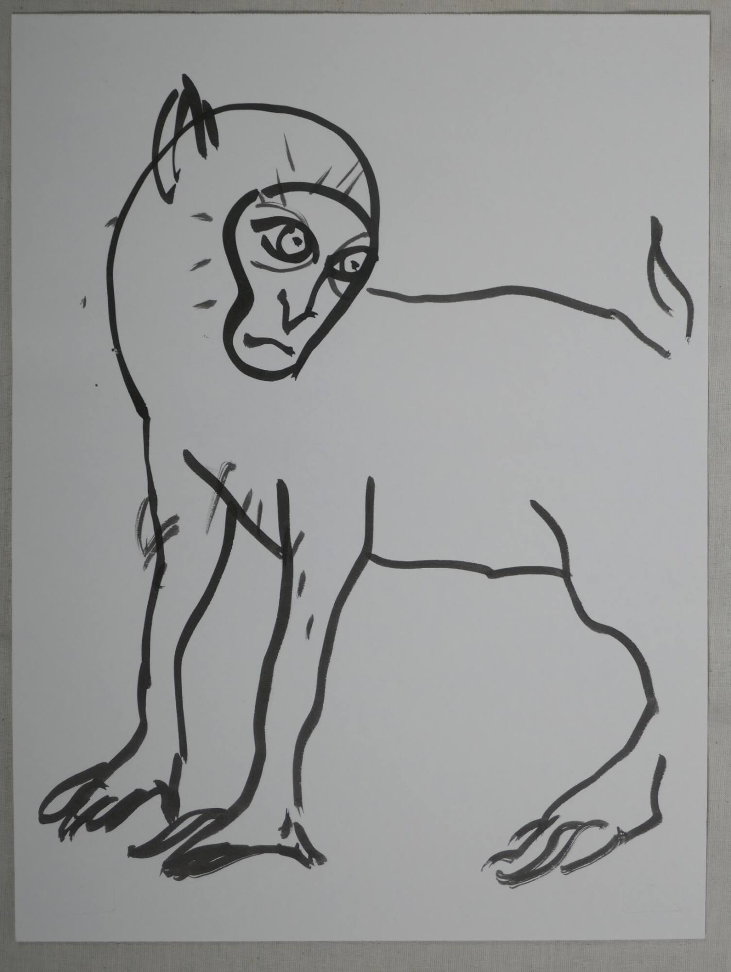 Monkey Series