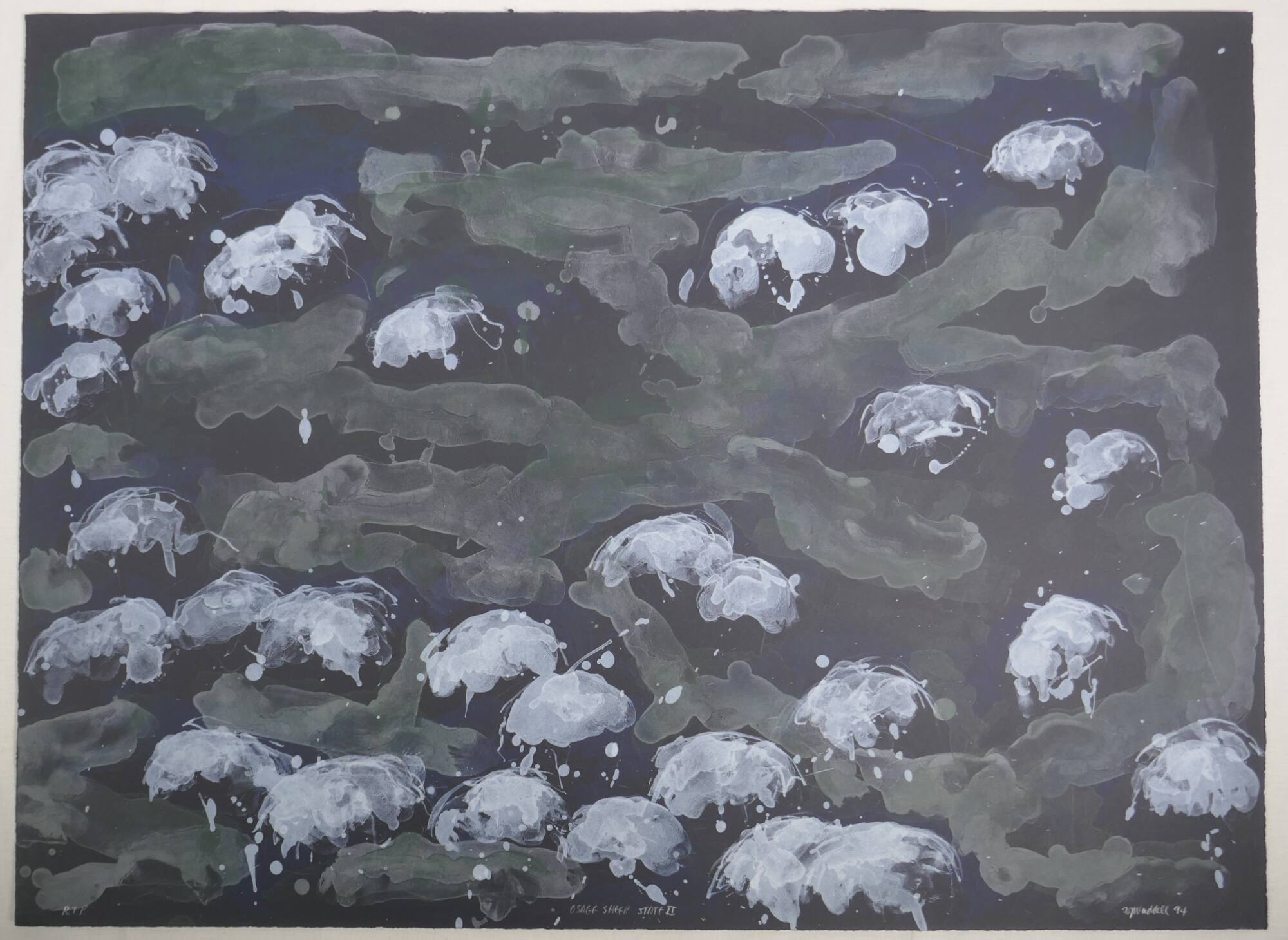 Osage sheep state II