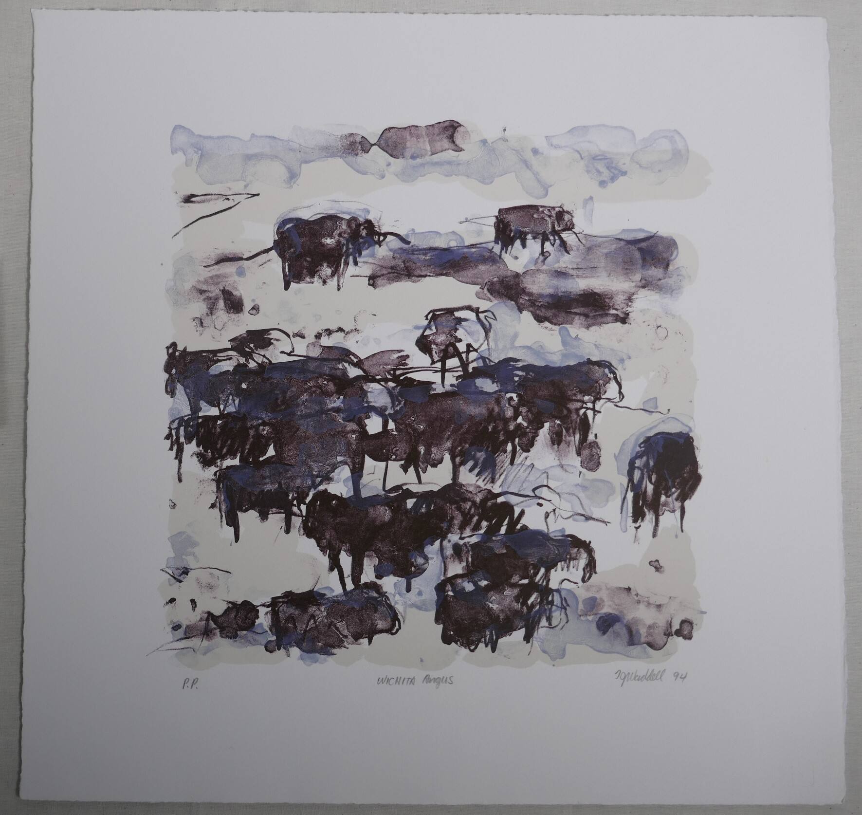Wichita Angus
