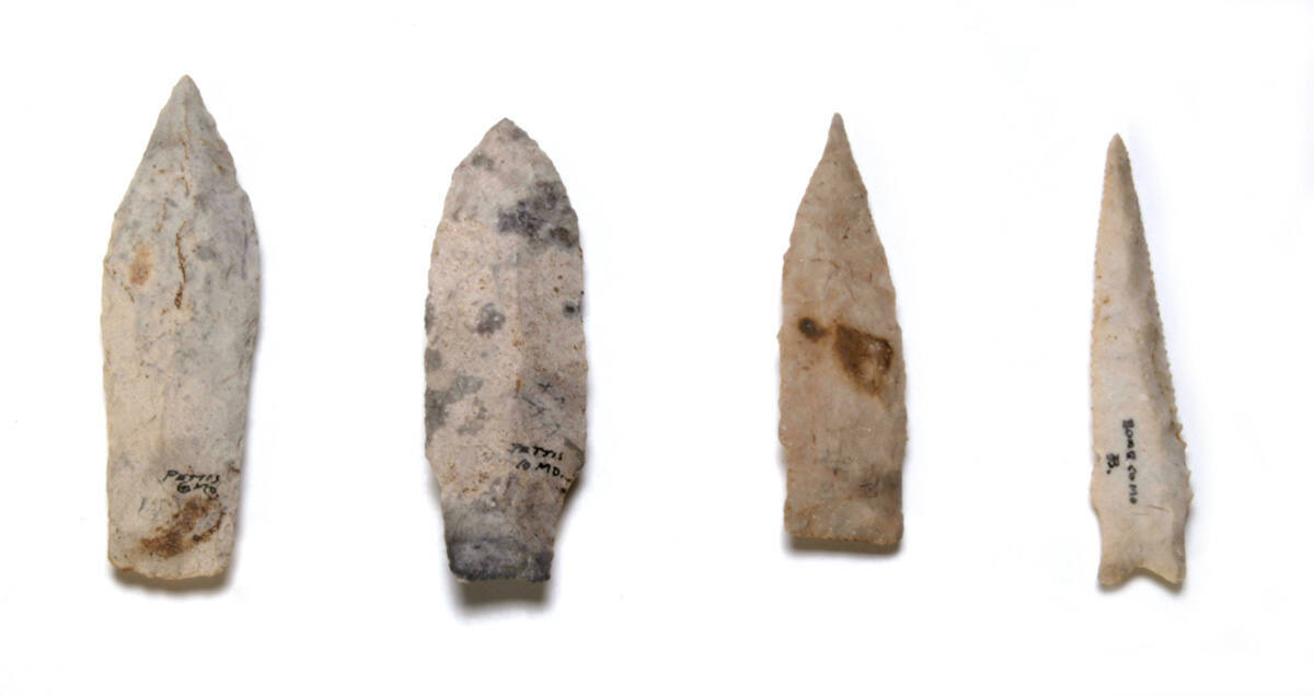 Point with notched tang