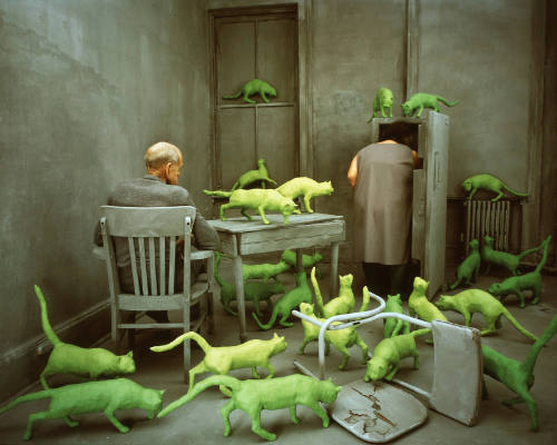 Radioactive Cats